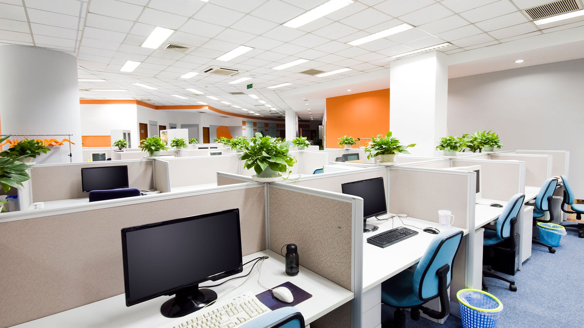 Endecca Painting interior-banner